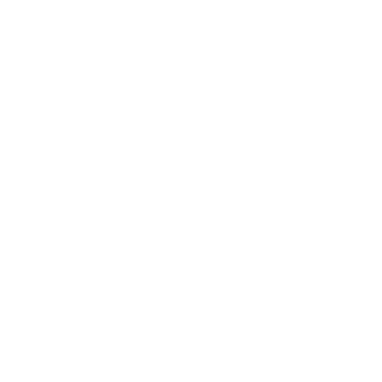 White Forest Innovation Logo
